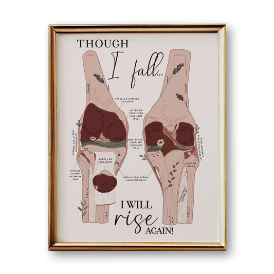 Knee Anatomy Art Print (Neutral Style)