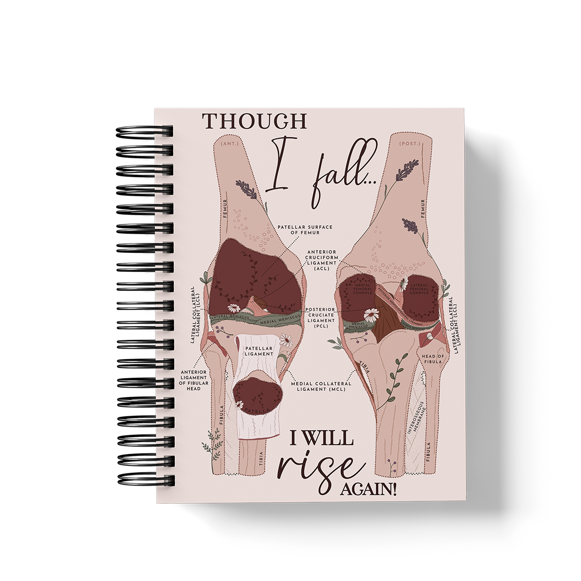 6-Month Planner (Custom Monthly, Weekly and Daily inserts)