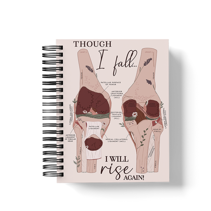 6-Month Planner (Custom Monthly, Weekly and Daily inserts)