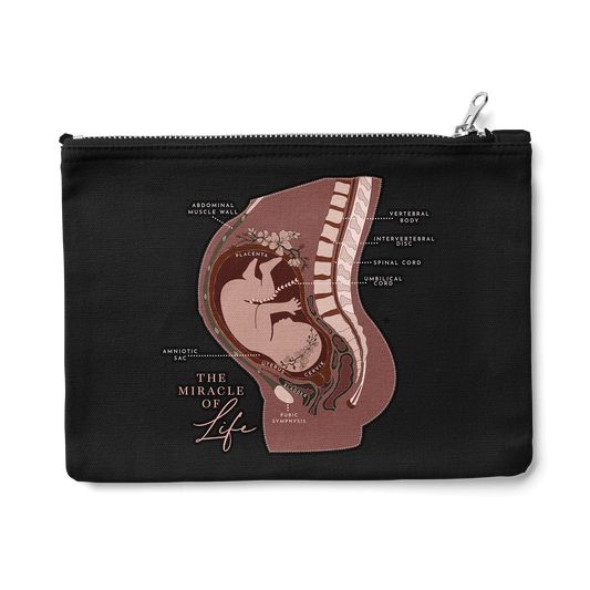 Pregnancy Anatomy Zipper Pouch