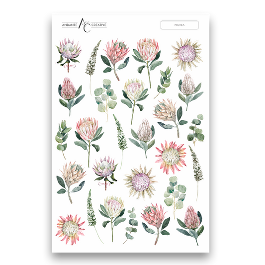 Protea Floral Sticker Sheet