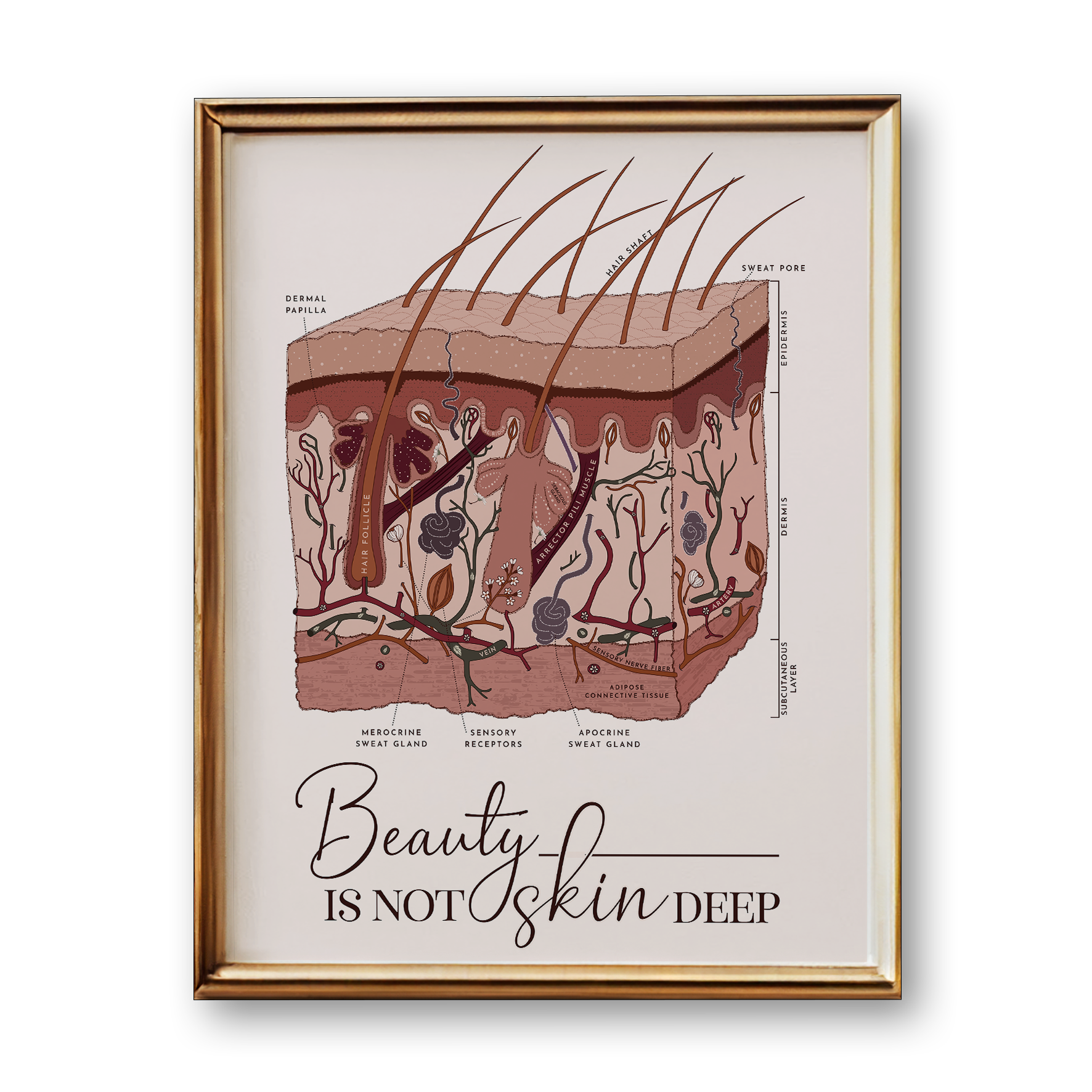 Framed poster of a skin cross-section diagram with 'Beauty is Not Skin Deep' text.