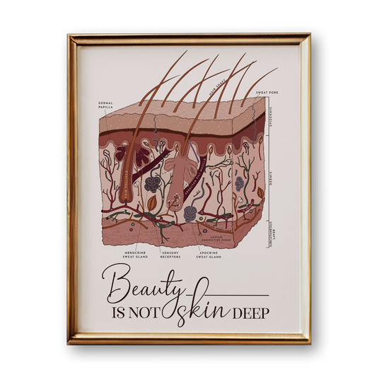 Framed poster of a skin cross-section diagram with 'Beauty is Not Skin Deep' text.