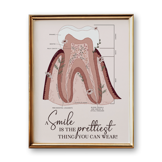 Tooth Anatomy Art Print (Neutral Style)