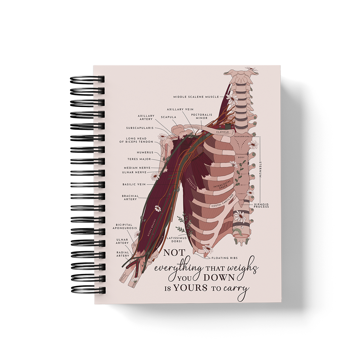 6-Month Planner (Custom Monthly, Weekly and Daily inserts)